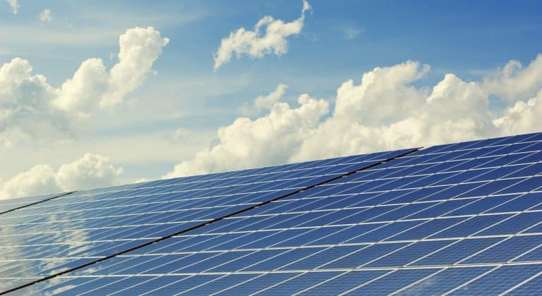 ENEL X INSTALA USINA FOTOVOLTAICA PARA EMPRESA DE ALIMENTAÇÃO NO CEARÁ