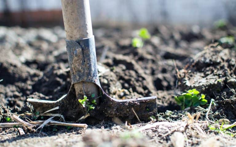 Maranhão: UEMA É FINALISTA DO PRÊMIO MELHORES PRÁTICAS DE SUSTENTABILIDADE DO MINISTÉRIO DO MEIO AMBIENTE