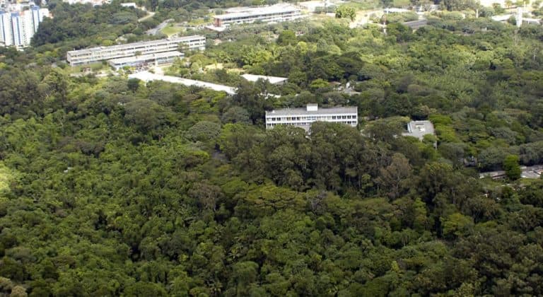 USP É A 13ª UNIVERSIDADE MAIS SUSTENTÁVEL DO MUNDO