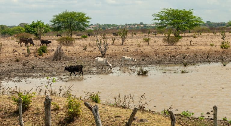 HUAWEI TURBINA O SERTÕES 2021