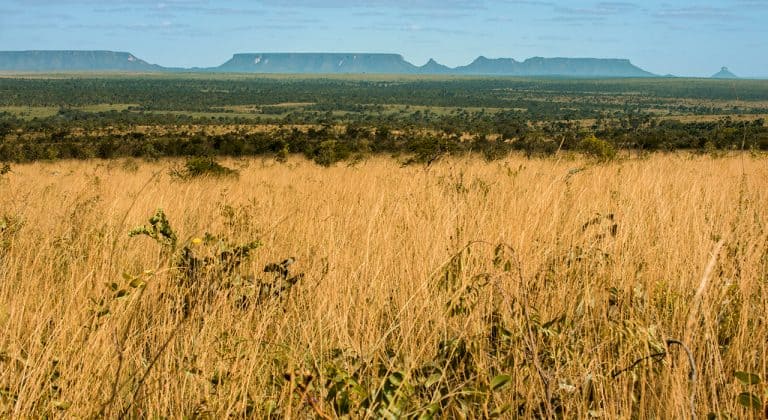 HUAWEI INVESTE EM PROJETO DE ENERGIA RENOVÁVEL E GRATUITA NO TOCANTINS