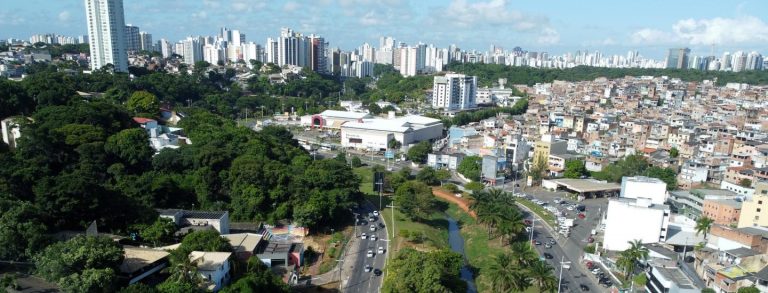 5 MOTIVOS PARA AS CIDADES INCLUÍREM AS ÁRVORES NAS AÇÕES PELO CLIMA