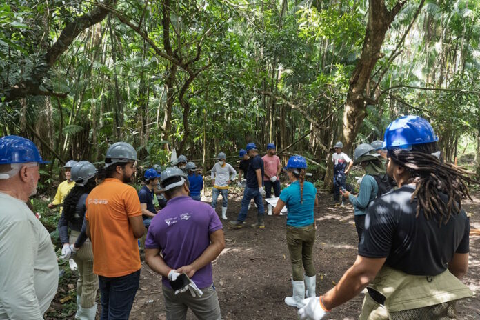 Tecnologia garante sustentabilidade à produção de açaí do Maranhão