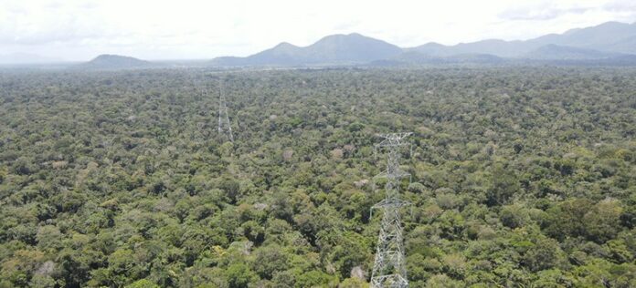 Ibama concede licença prévia para linha de transmissão de 1.600 km. Energia